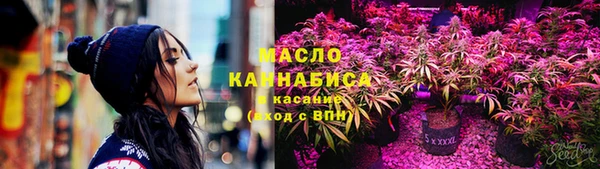 дмт Алексин