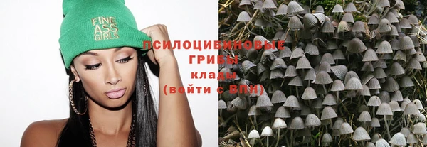 дмт Алексин
